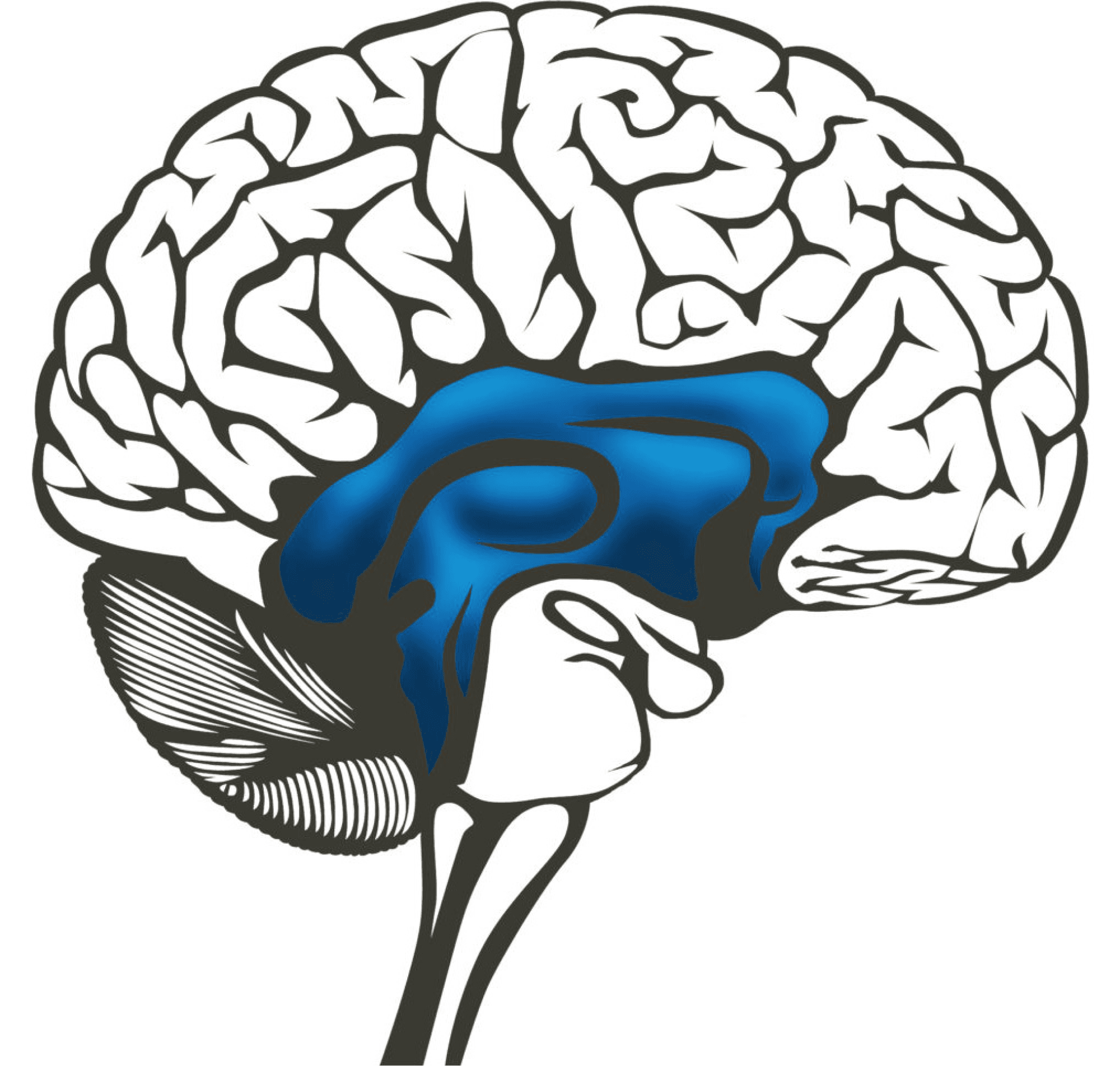 Illustration of the brain in an emotional state